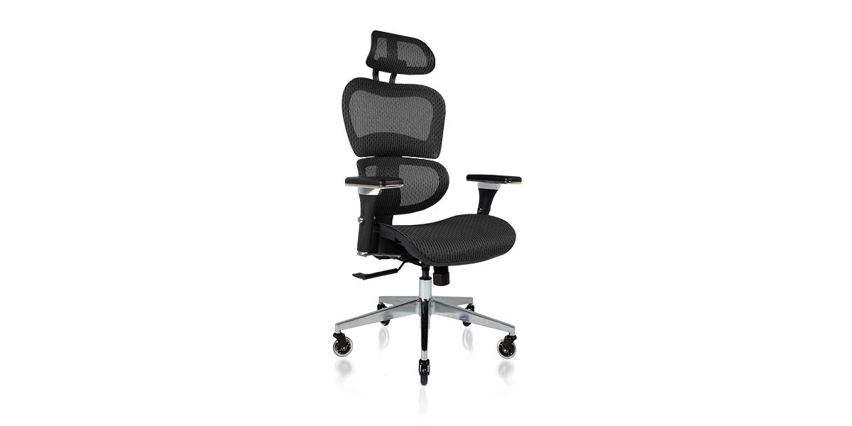 NOUHAUS Ergo 3D Ergonomic Office Chair