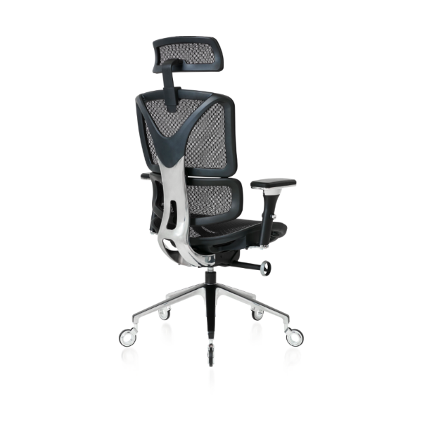 Back angled view of the Black ErgoPro Ergonomic Office Chair