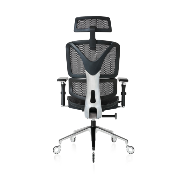 Back of the Black ErgoPro Ergonomic Office Chair