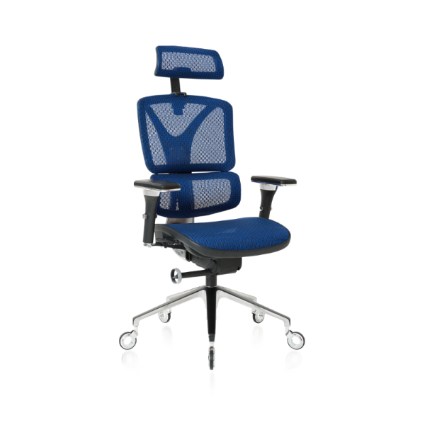 Blue ErgoPro Ergonomic Office Chair