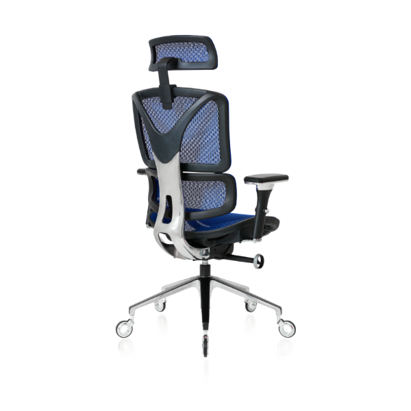 Back angled view of the Blue ErgoPro Ergonomic Office Chair