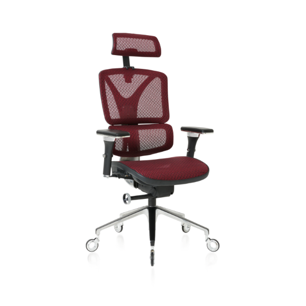 Burgundy ErgoPro Ergonomic Office Chair