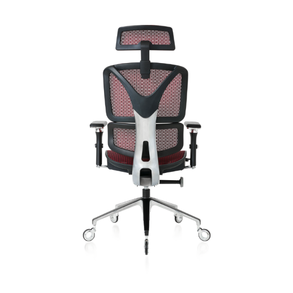 Back view of the Burgundy ErgoPro Ergonomic Office Chair