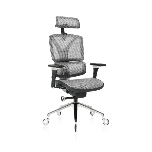 Silver ErgoPro Ergonomic Office Chair