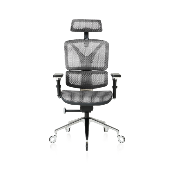 Front of the Silver ErgoPro Ergonomic Office Chair