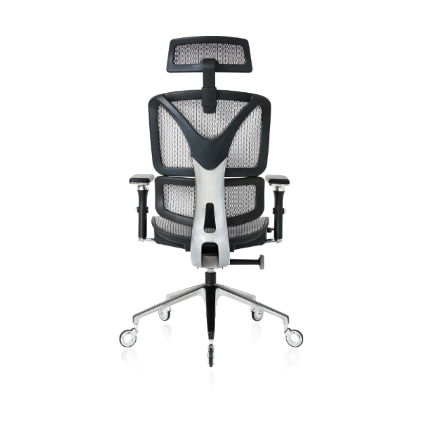 Bsck of the Silver ErgoPro Ergonomic Office Chair